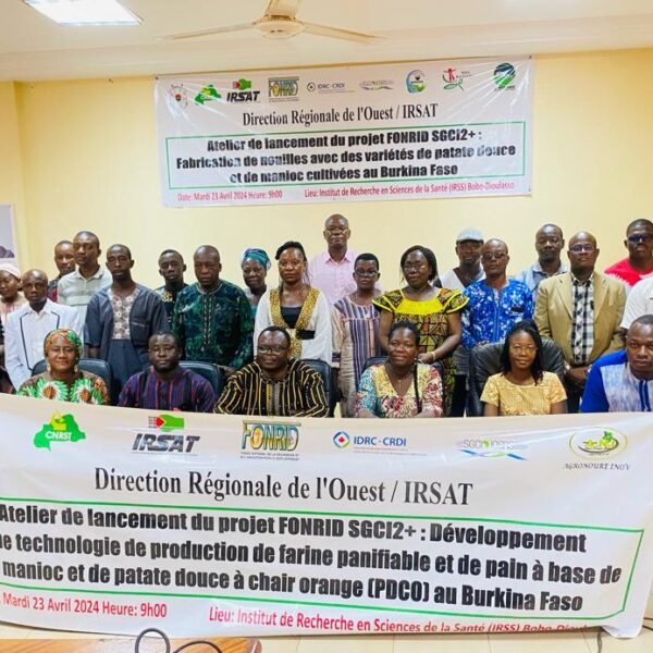 Agro-alimentaire au Burkina Faso : En avant pour une meilleure valorisation de la PDCO et du Manioc