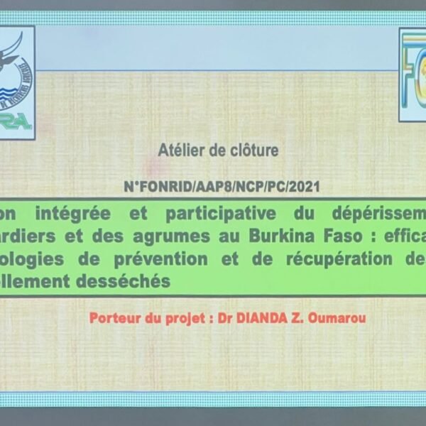 Dépérissement des anacardiers et des agrumes au Burkina Faso : le projet FONRID clos ses activités