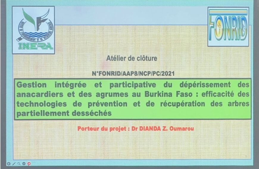 Dépérissement des anacardiers et des agrumes au Burkina Faso : le projet FONRID clos ses activités