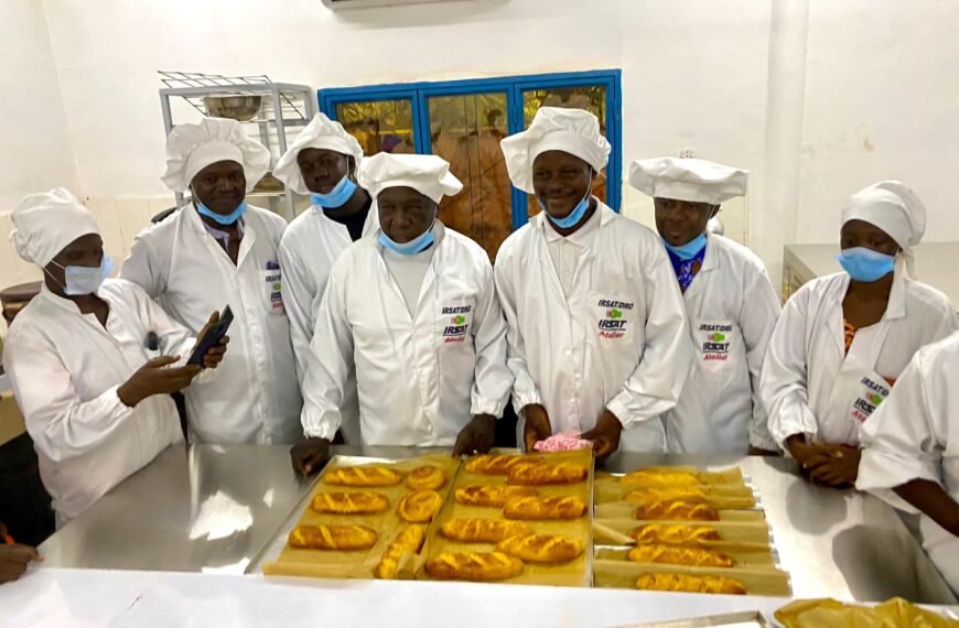 Filière manioc et PDCO : Les acteurs formés sur la production de farine panifiable et de pain