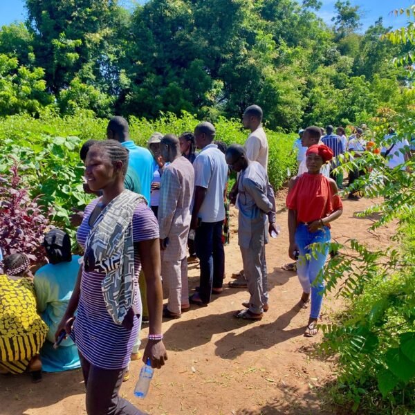 JPO du projet SafeVeg au Burkina : des légumes sains, des idées fertiles pour les producteurs