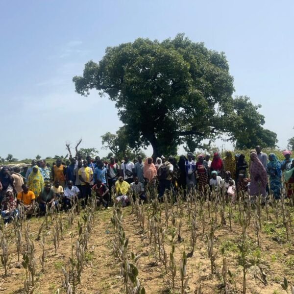 Cultiver le futur : des journées dans l’Oubri et le Nakambé pour comprendre, échanger et semer autrement »